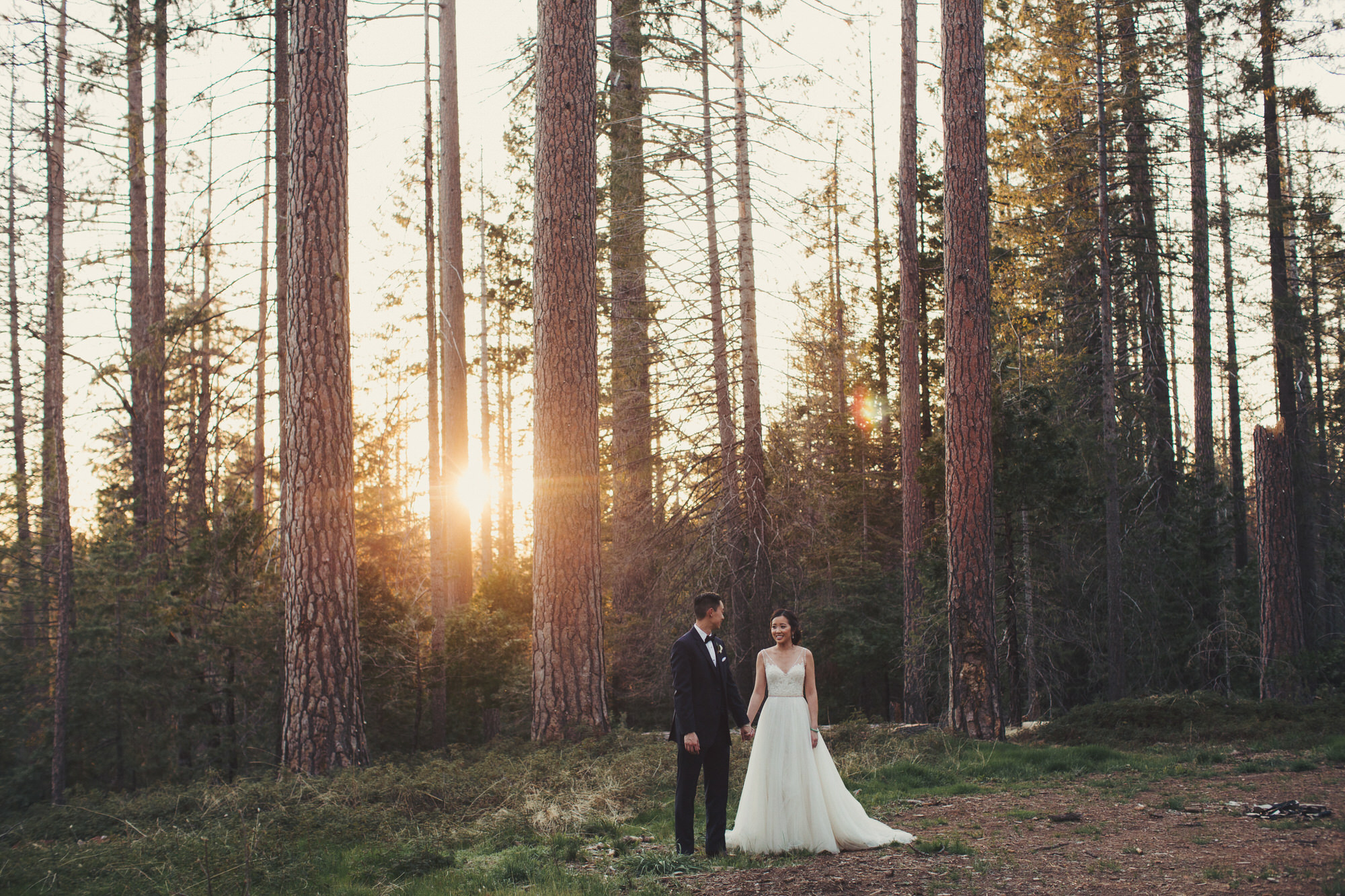 trees wedding forest 