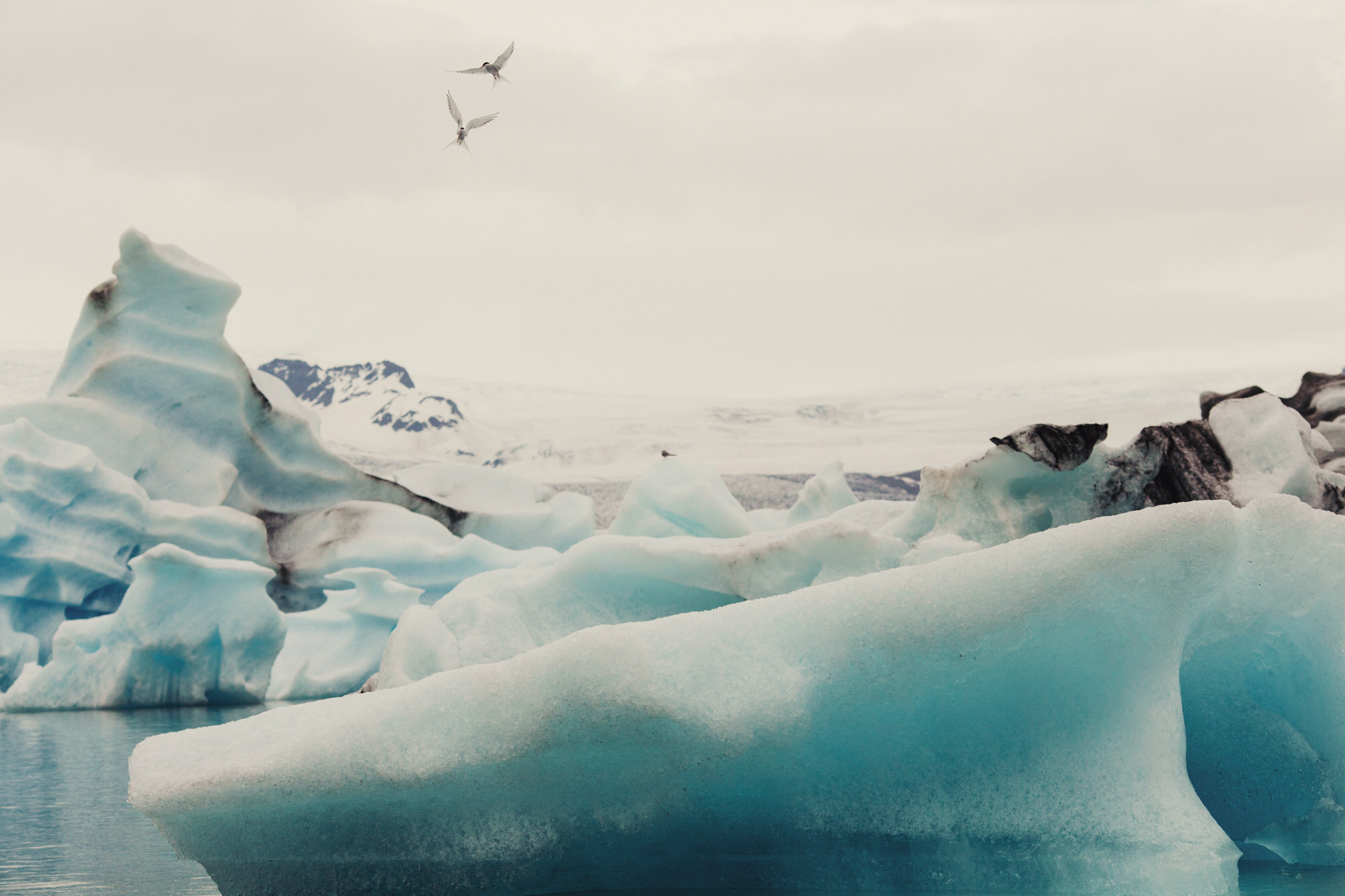 Jökulsárlón glacier lagoon ©Anne-Claire Brun 