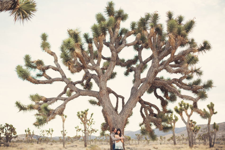 Joshua Tree Love ©Anne-Claire Brun034