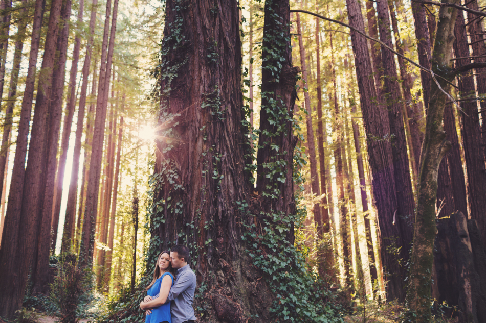 Engagement session in Sonoma County @Anne-Claire Brun 0008