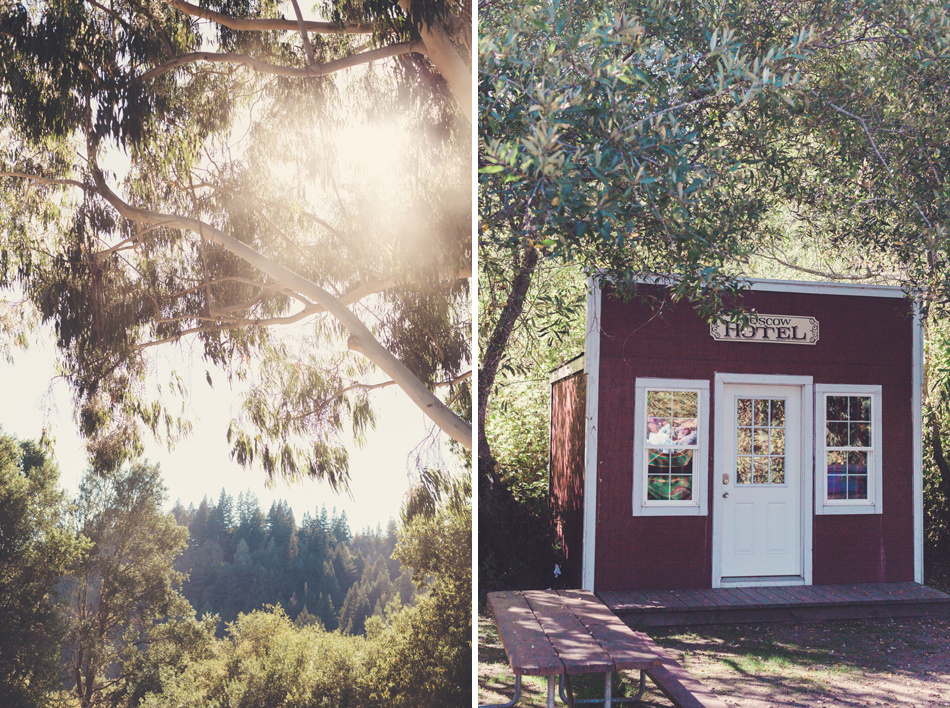 Casini Ranch Campground Wedding on the Russian River by Anne-Claire Brun0057