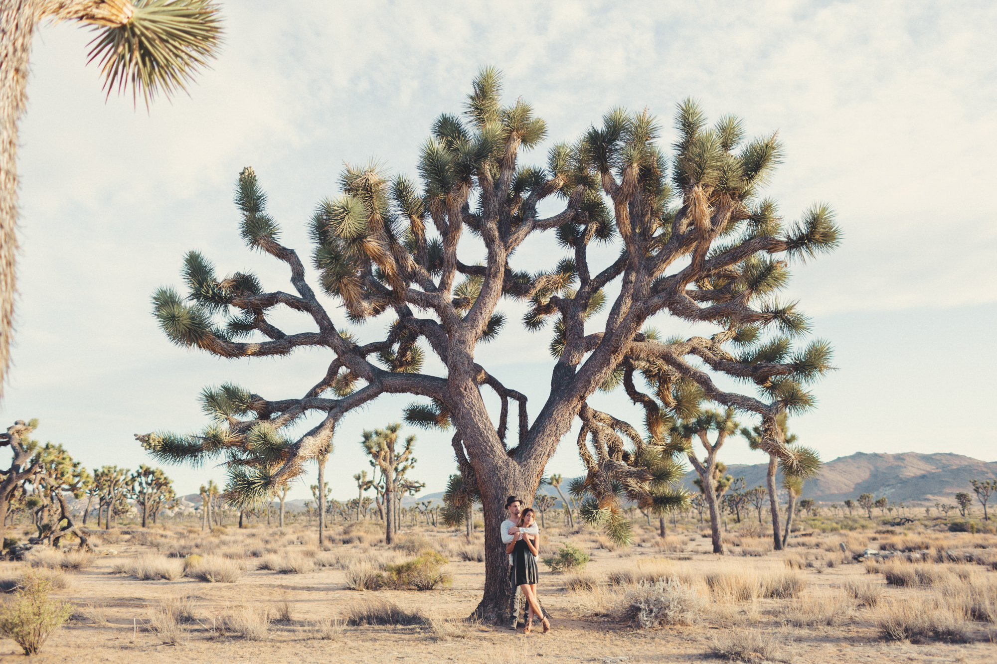 Joshua Tree Engagement Session @Anne-Claire Brun -16