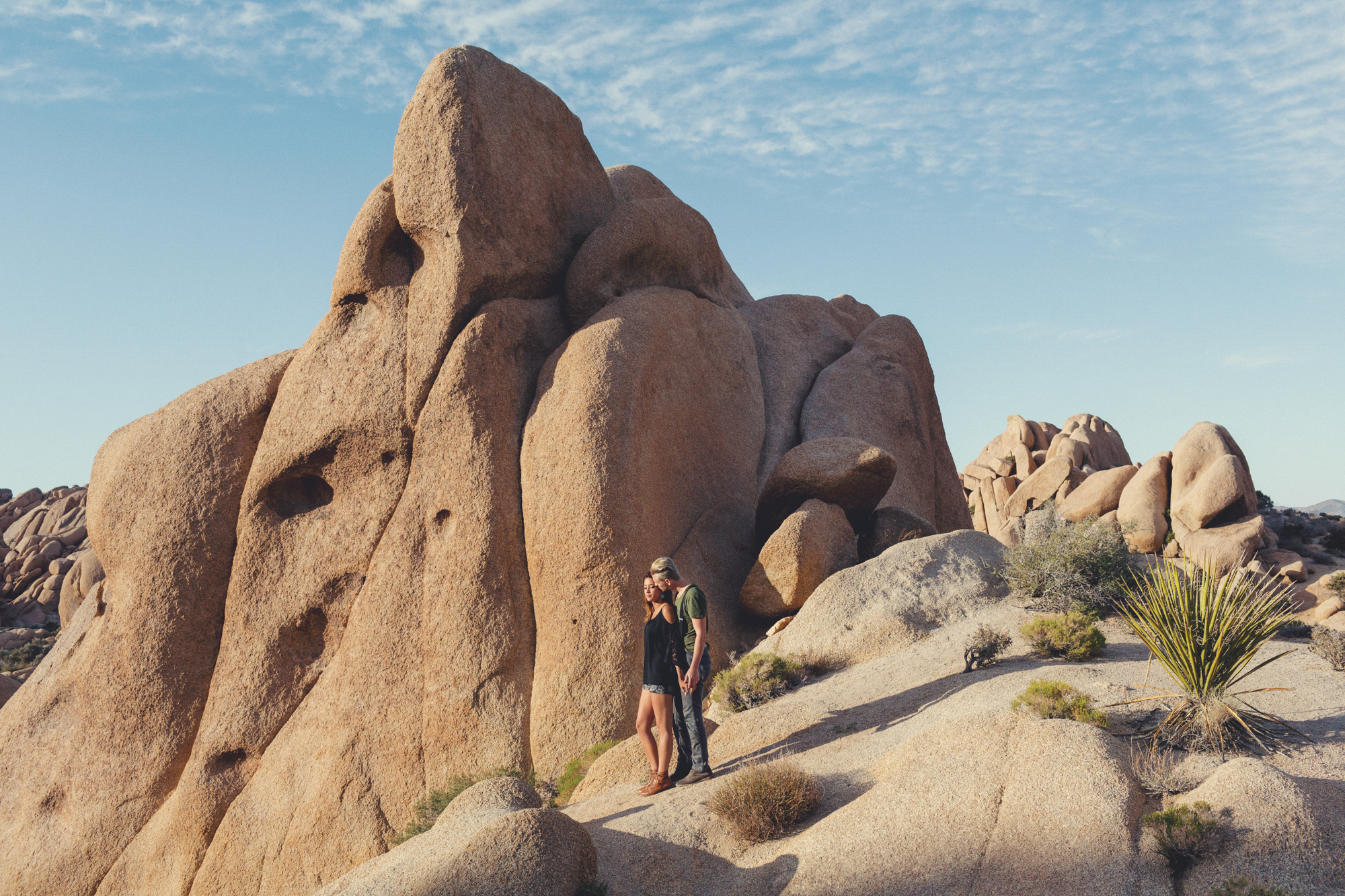 Joshua Tree Engagement Session @Anne-Claire Brun -20
