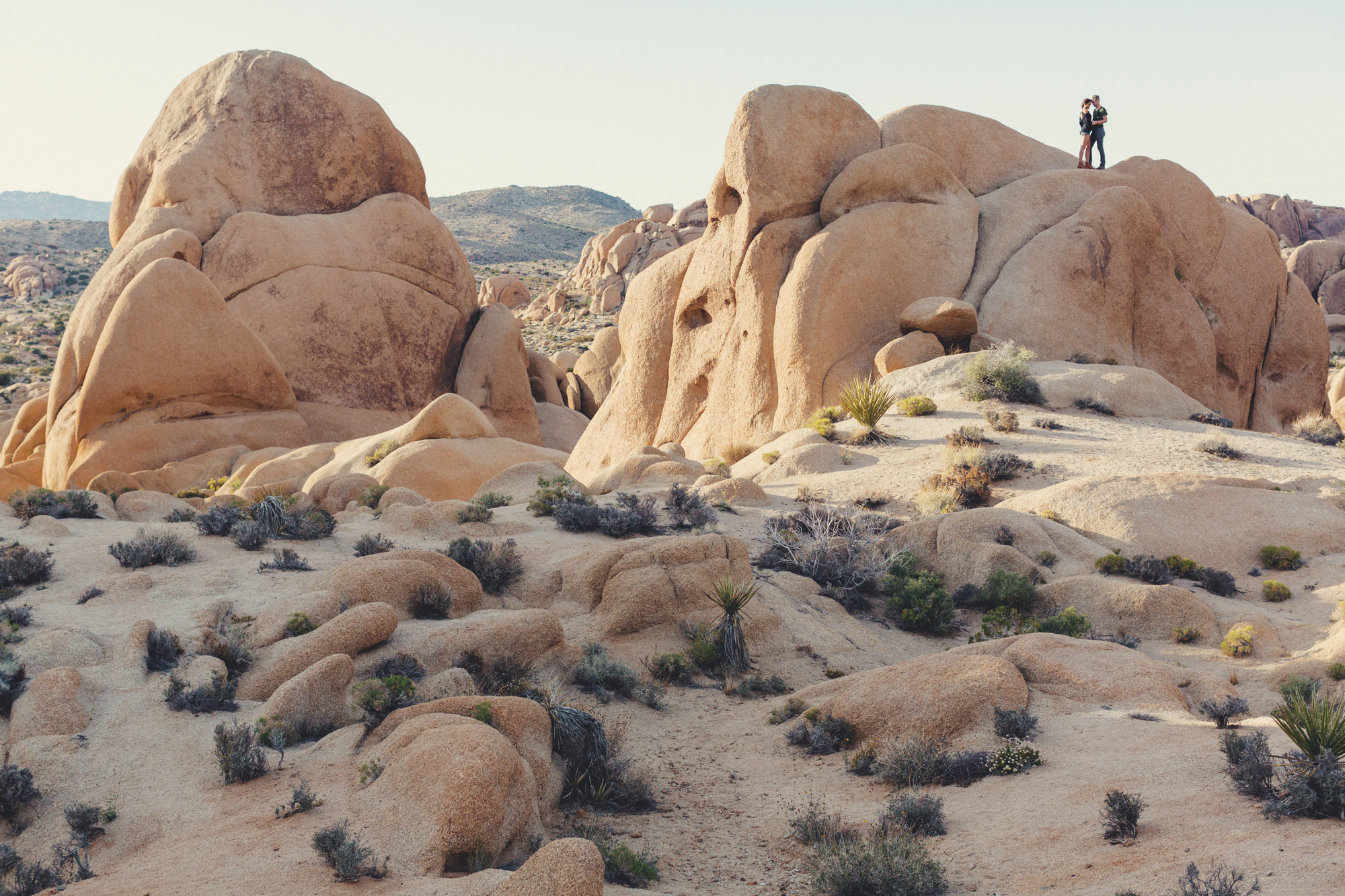 Joshua Tree Engagement Session @Anne-Claire Brun -7