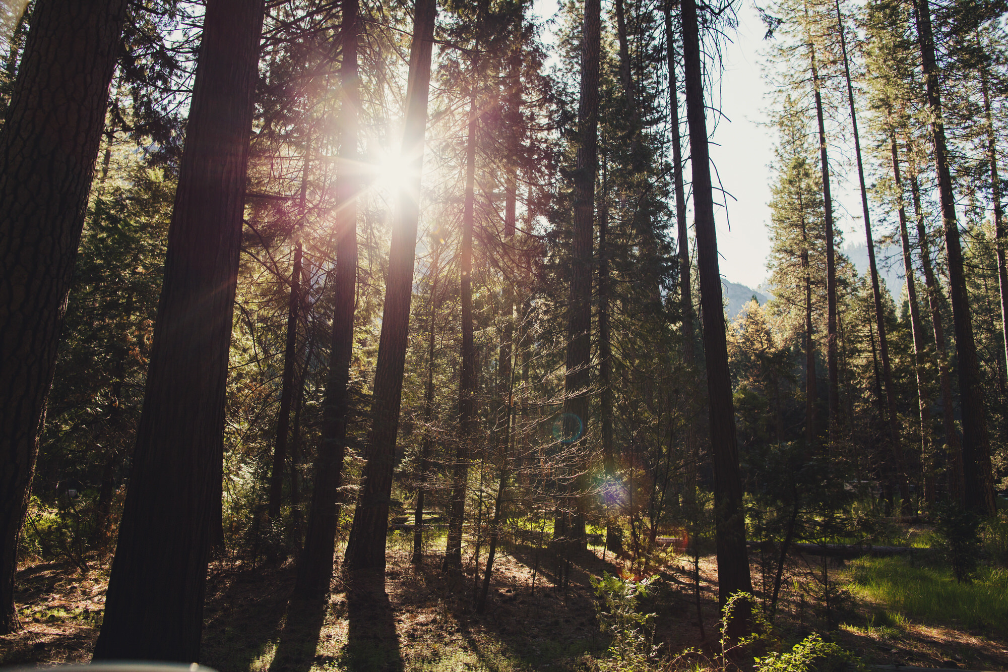 Yosemite ©Anne-Claire Brun 15