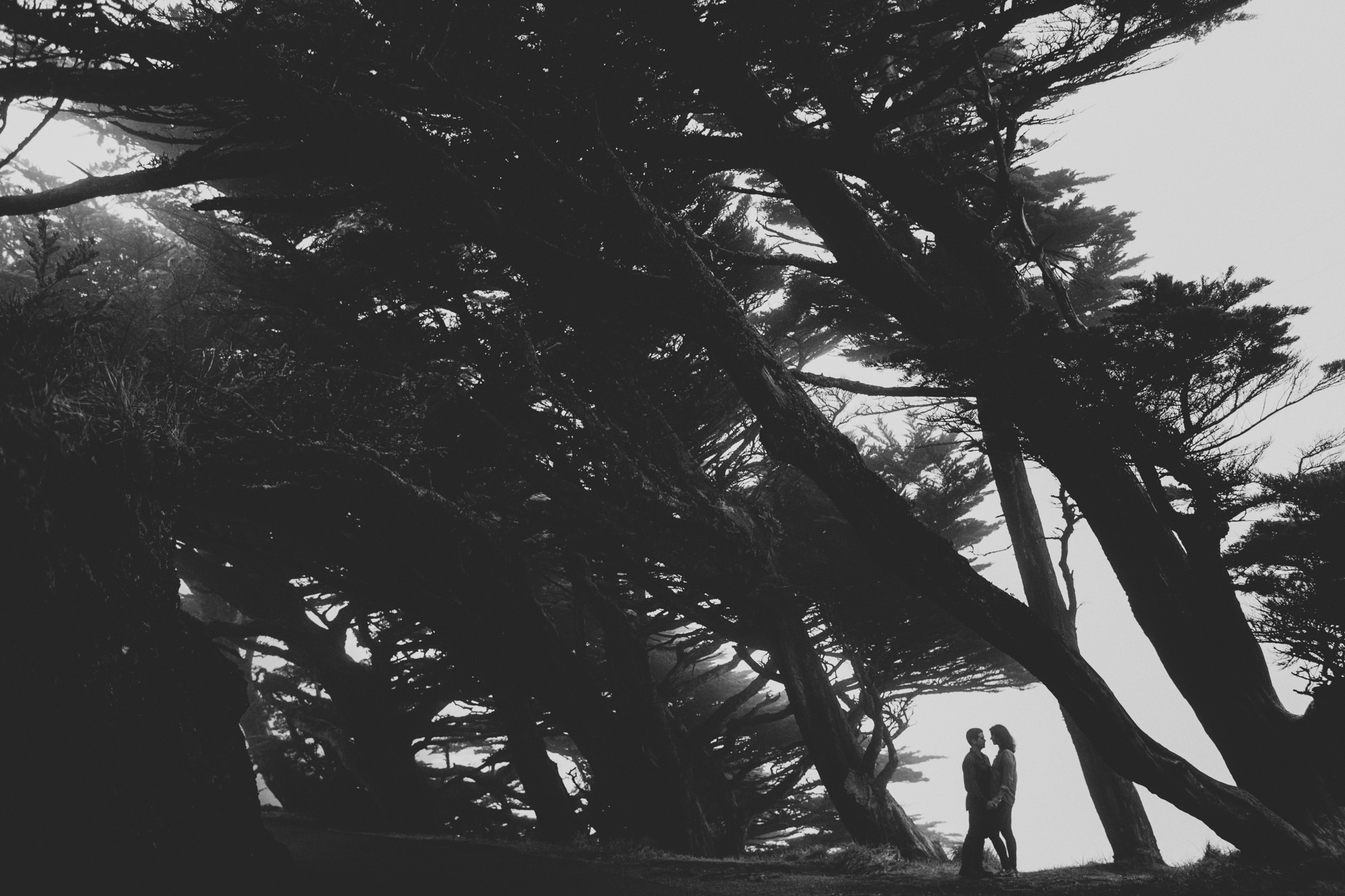 Point Reyes Engagement Session ©Anne-Claire Brun 34