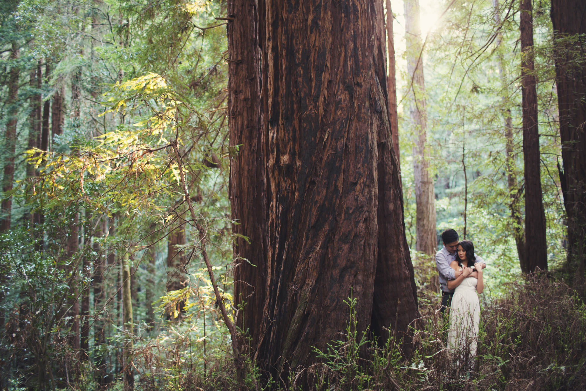 Engagement photos in Muir Woods @Anne-Claire Brun 032