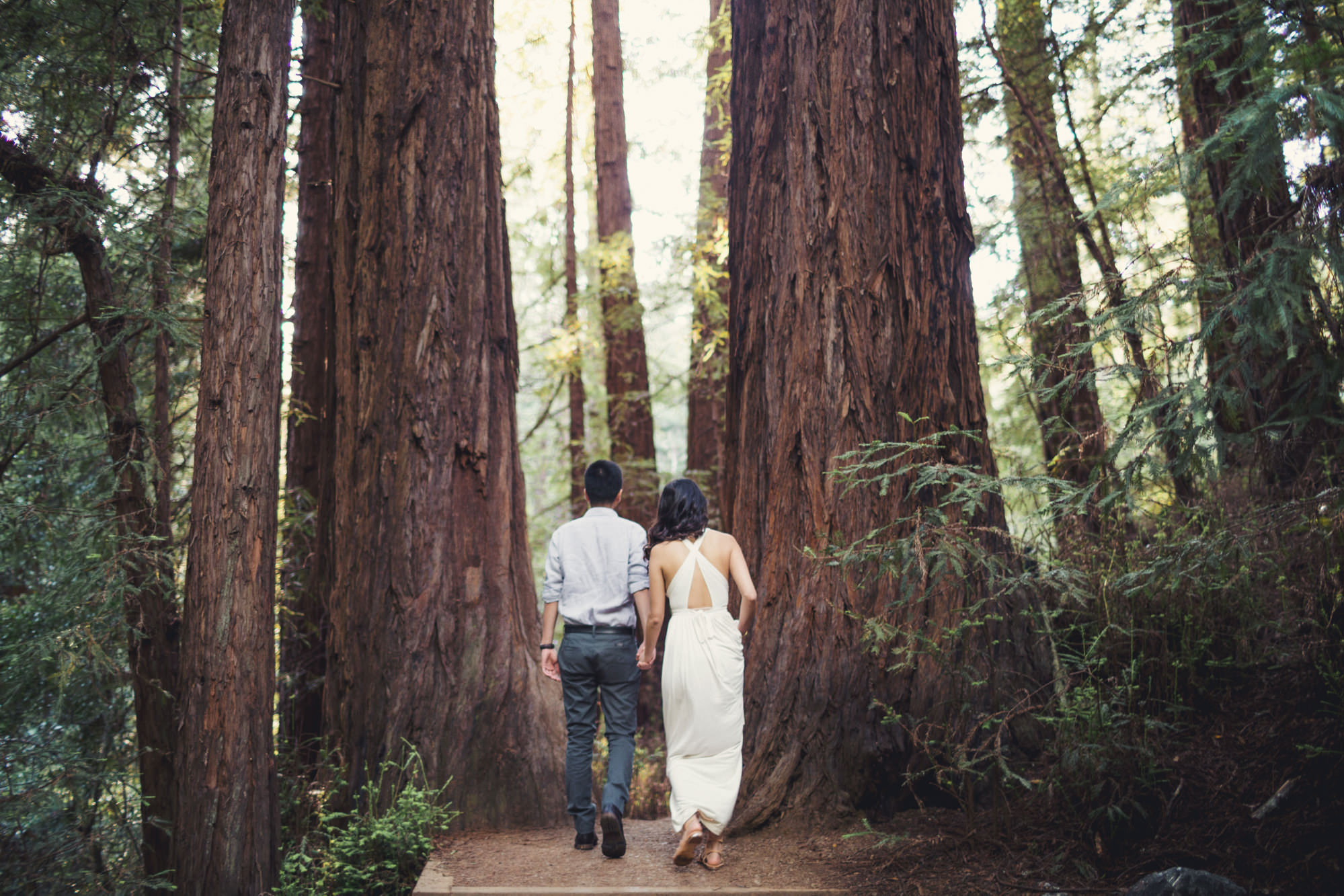 Engagement photos in Muir Woods @Anne-Claire Brun 043