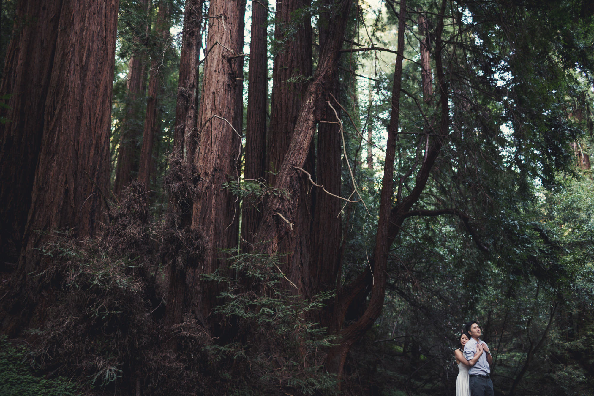 Engagement photos in Muir Woods @Anne-Claire Brun 044