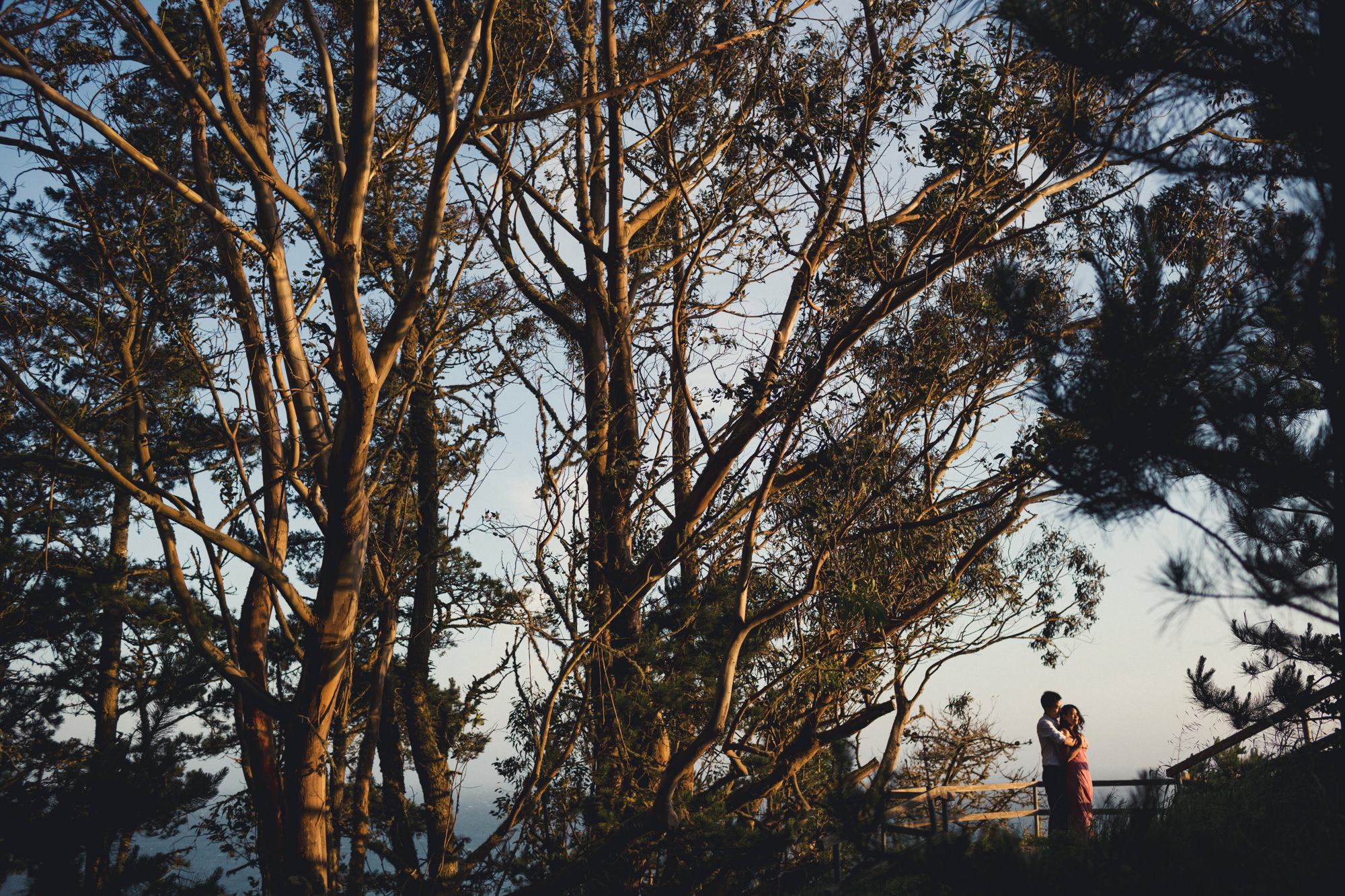 Engagement photos in Muir Woods @Anne-Claire Brun 047