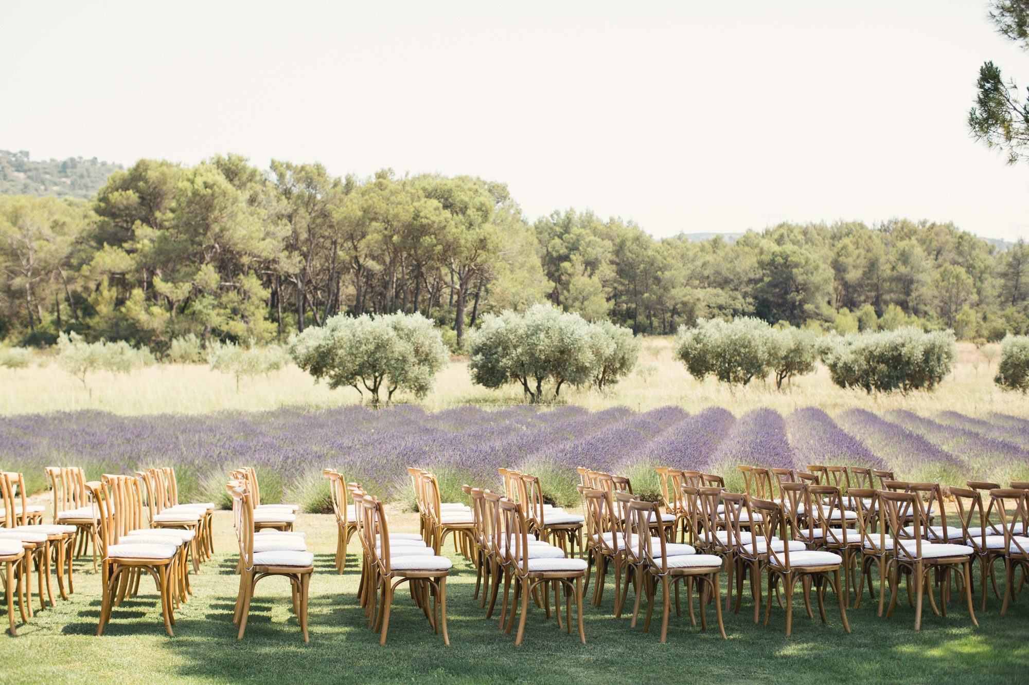 lavender field wedding 