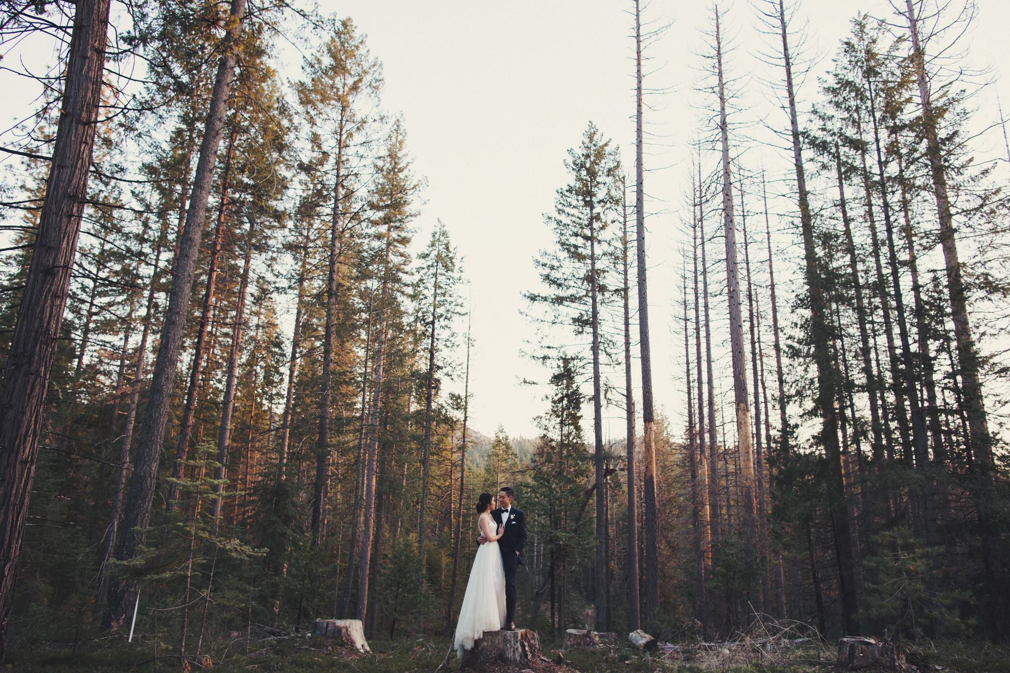 where to get married in yosemite 