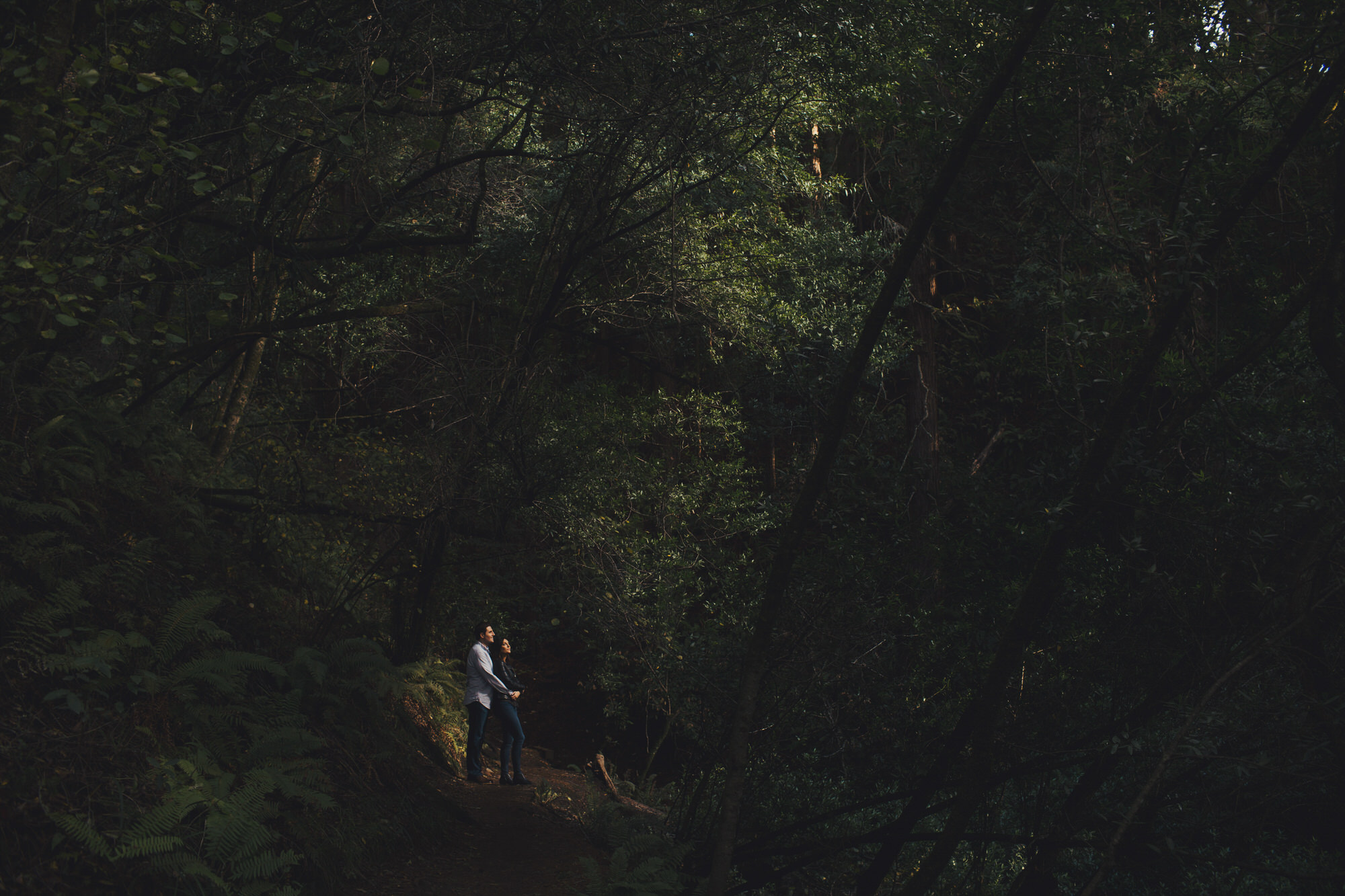 Forest Engagement Photos in Muir Woods