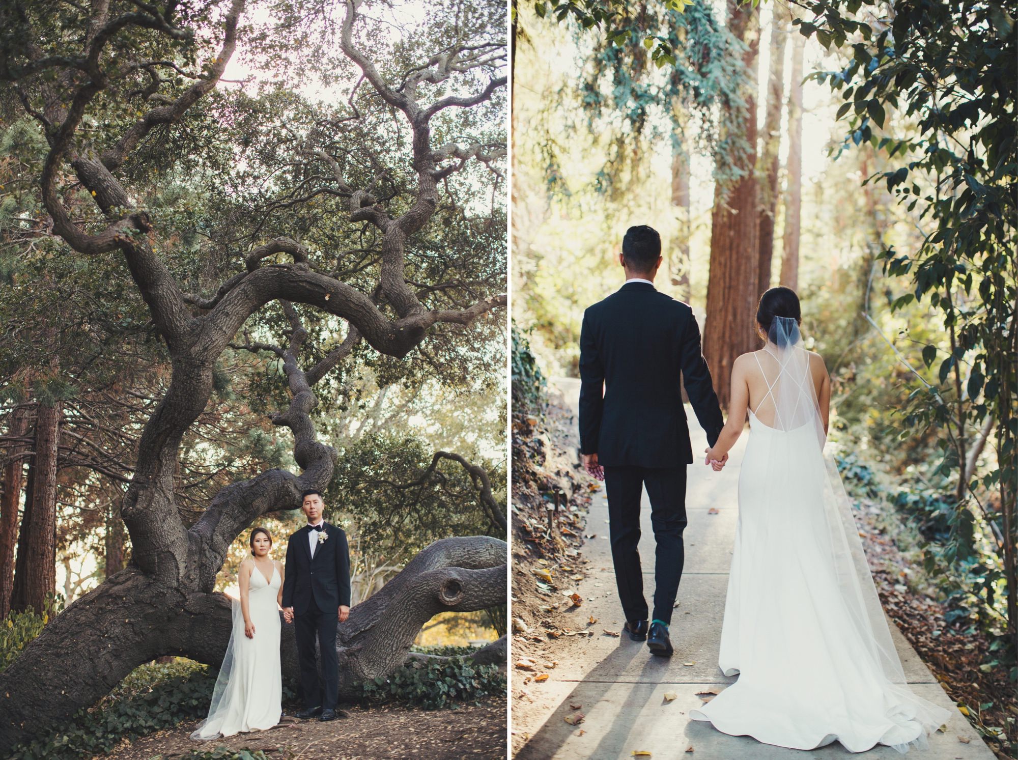 couple in a forest on wedding day