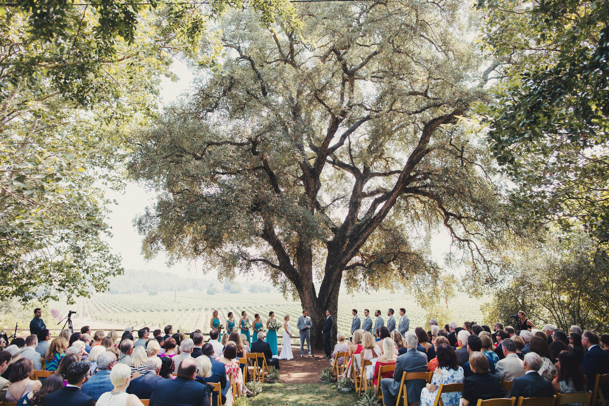 wedding ceremony under an oak tree